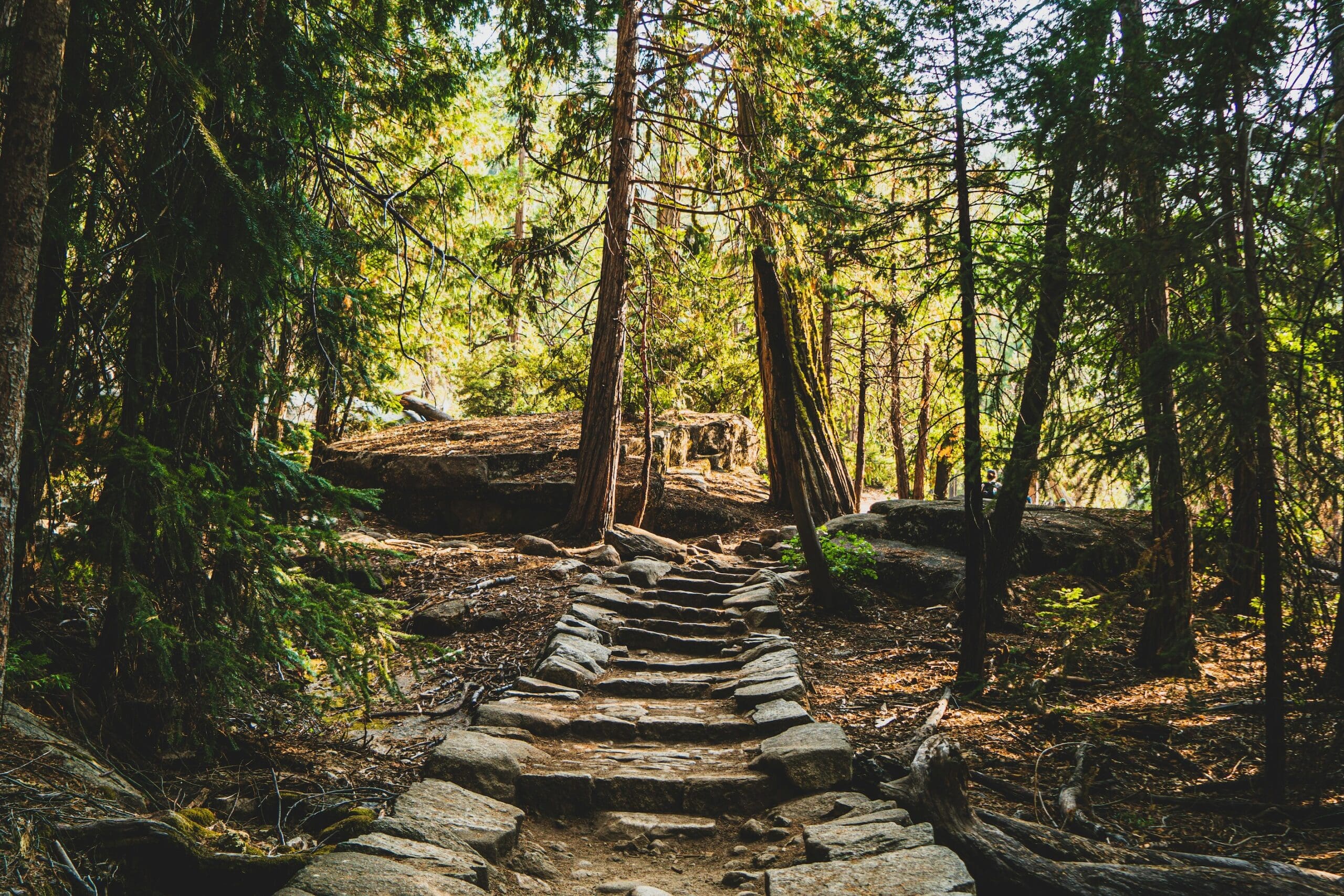 Woman in midlife walking a path of self-discovery and personal transformation